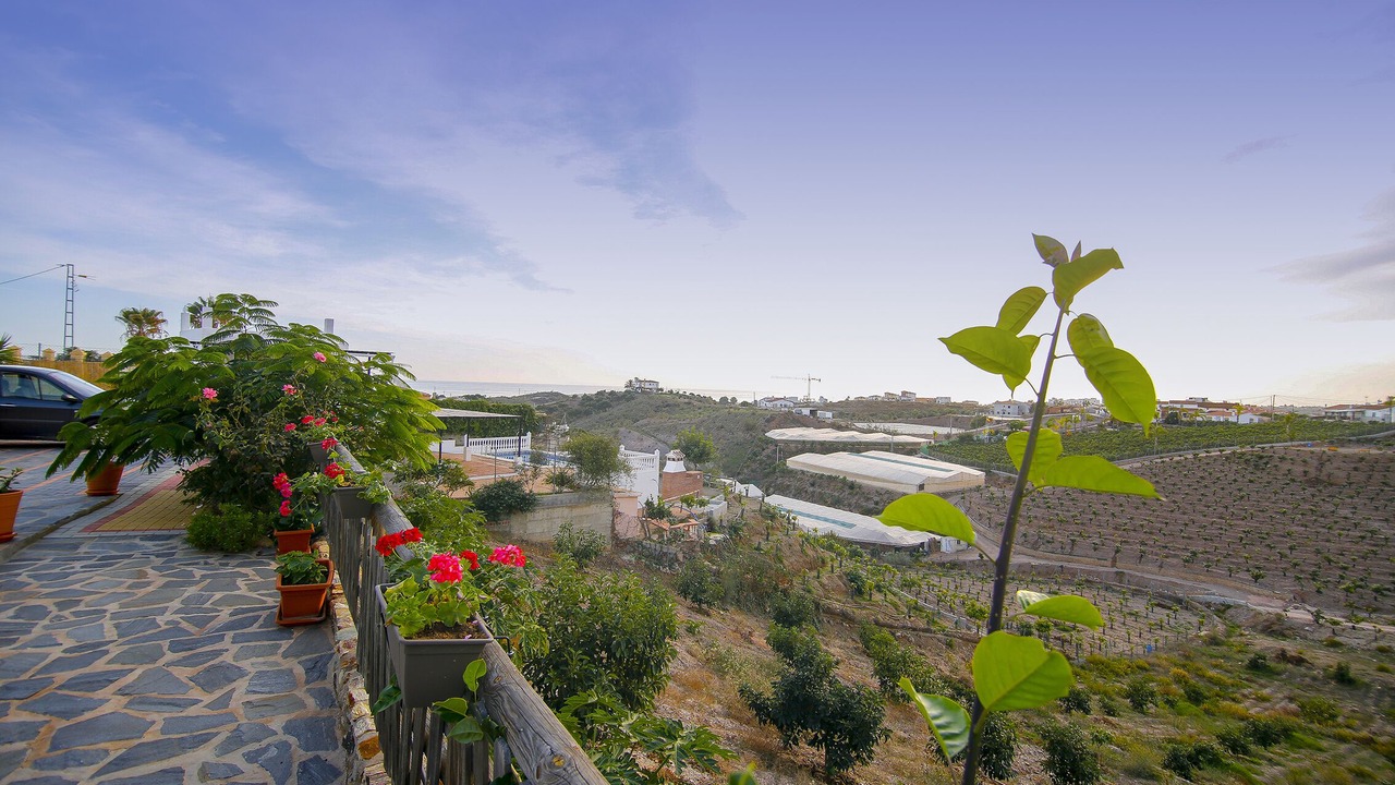 Photo of Outdoor in Almayate Bajo