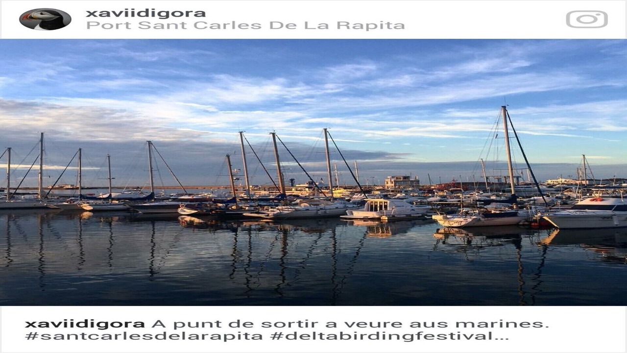 Photo of Others in Sant Carles de la Rapita