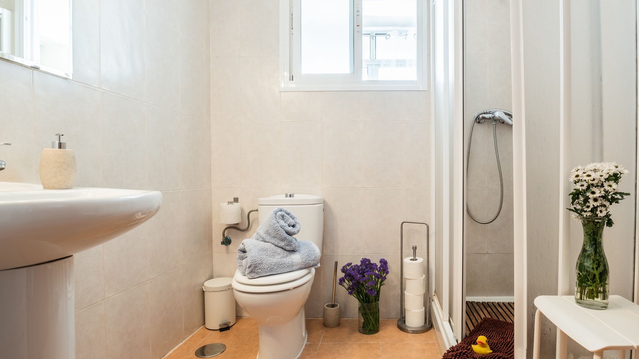 Photo of Bathroom in Los Remedios