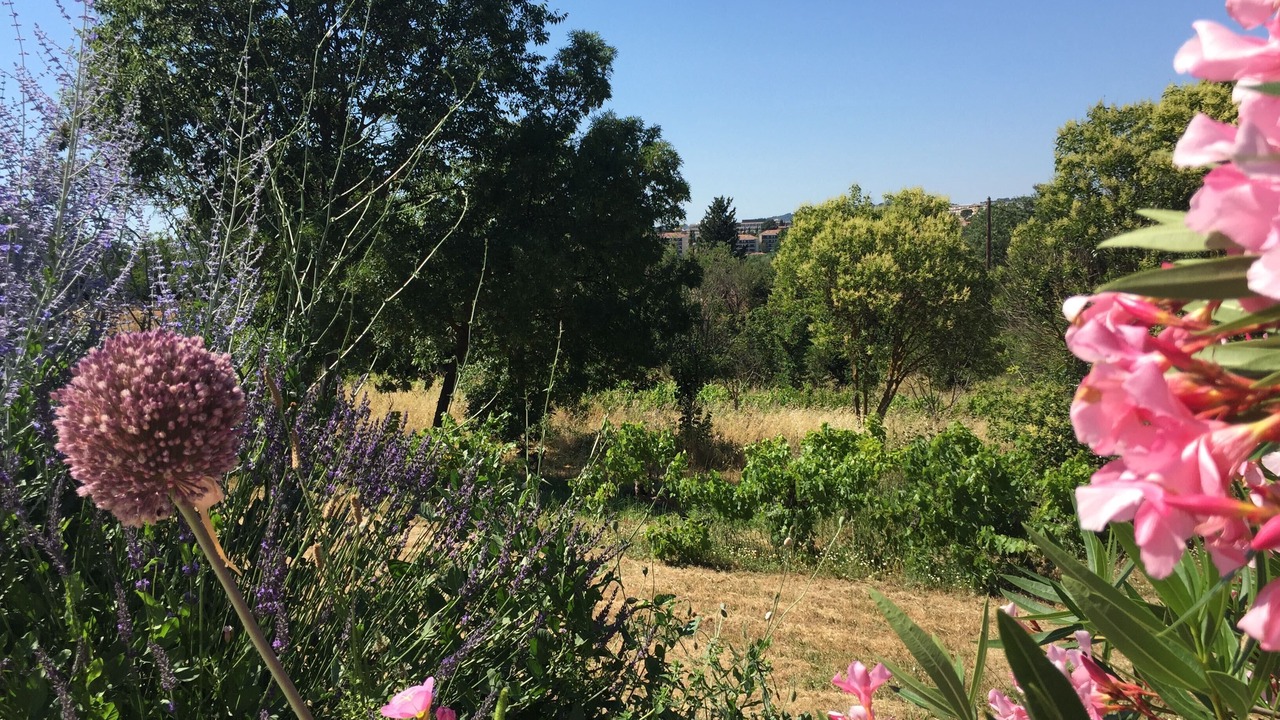 Photo of Outdoor in Grand Sud