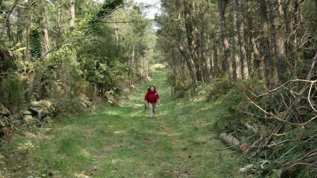 Photo of Outdoor in Laxe