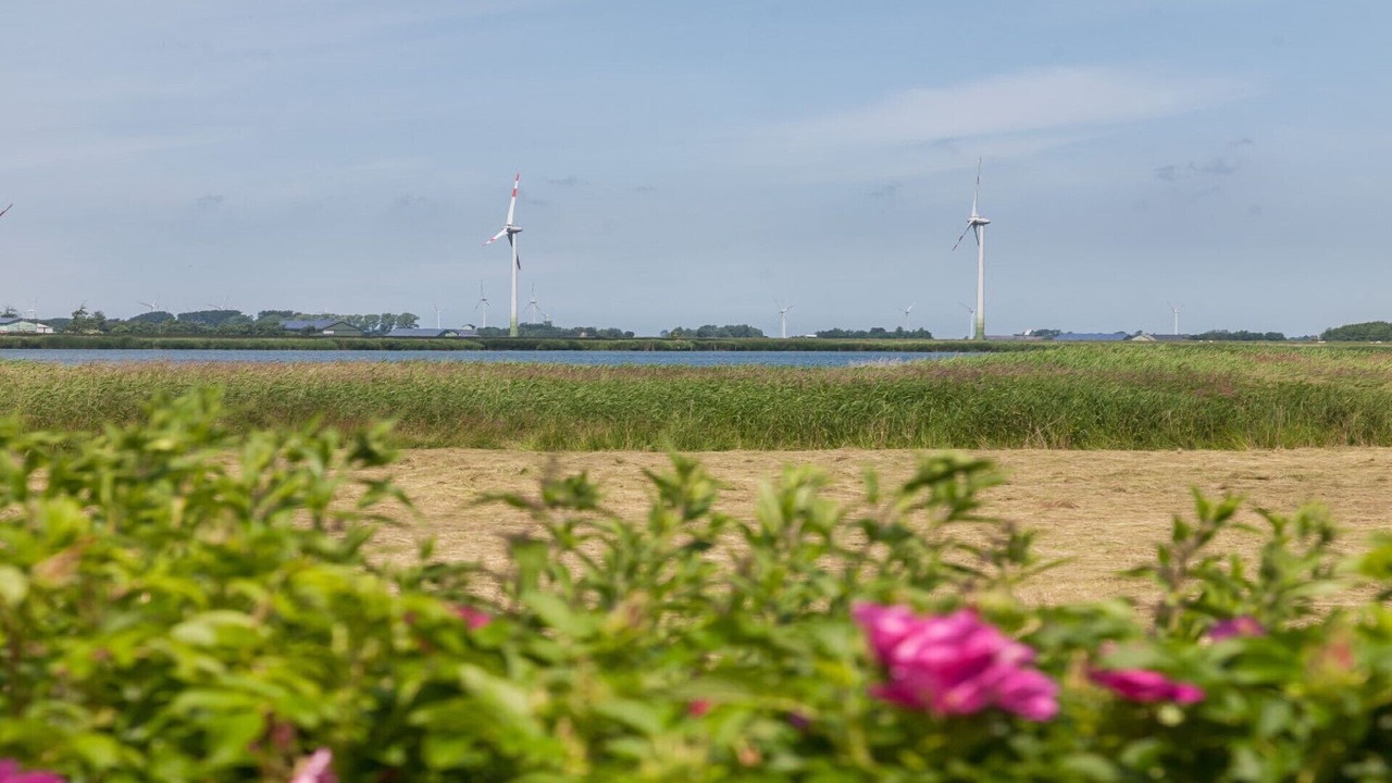 Photo of Outdoor in Großmorsum