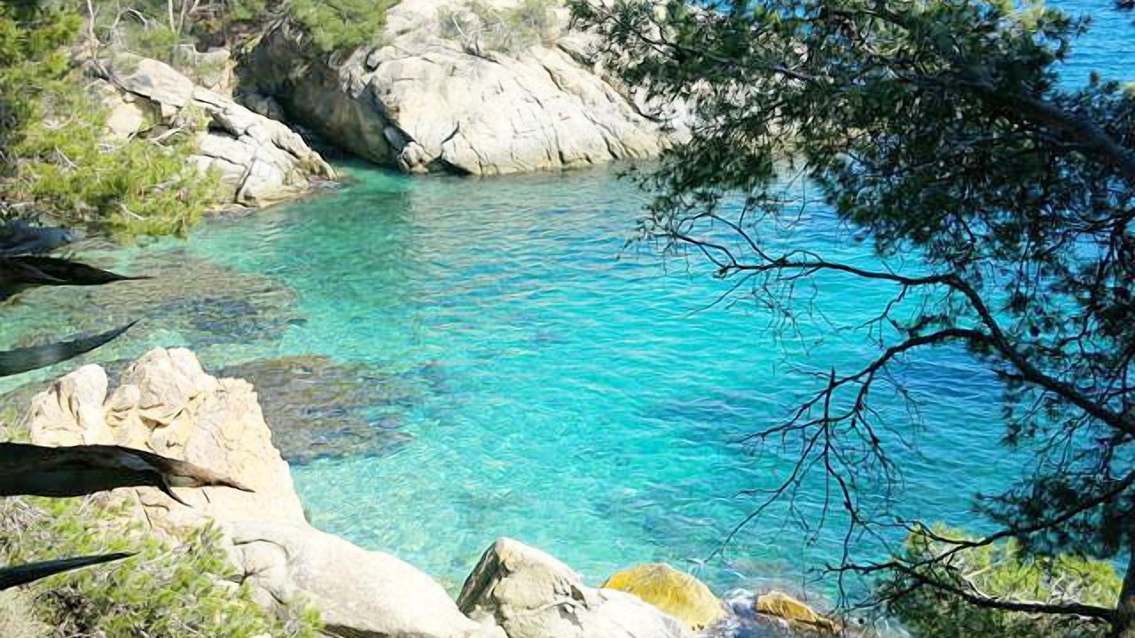 Photo of Others in Castell-Platja d'Aro