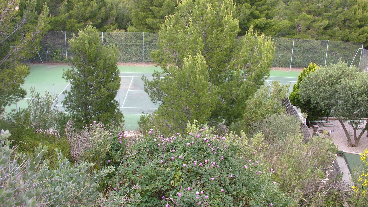 Photo of Others in Sausset-les-Pins