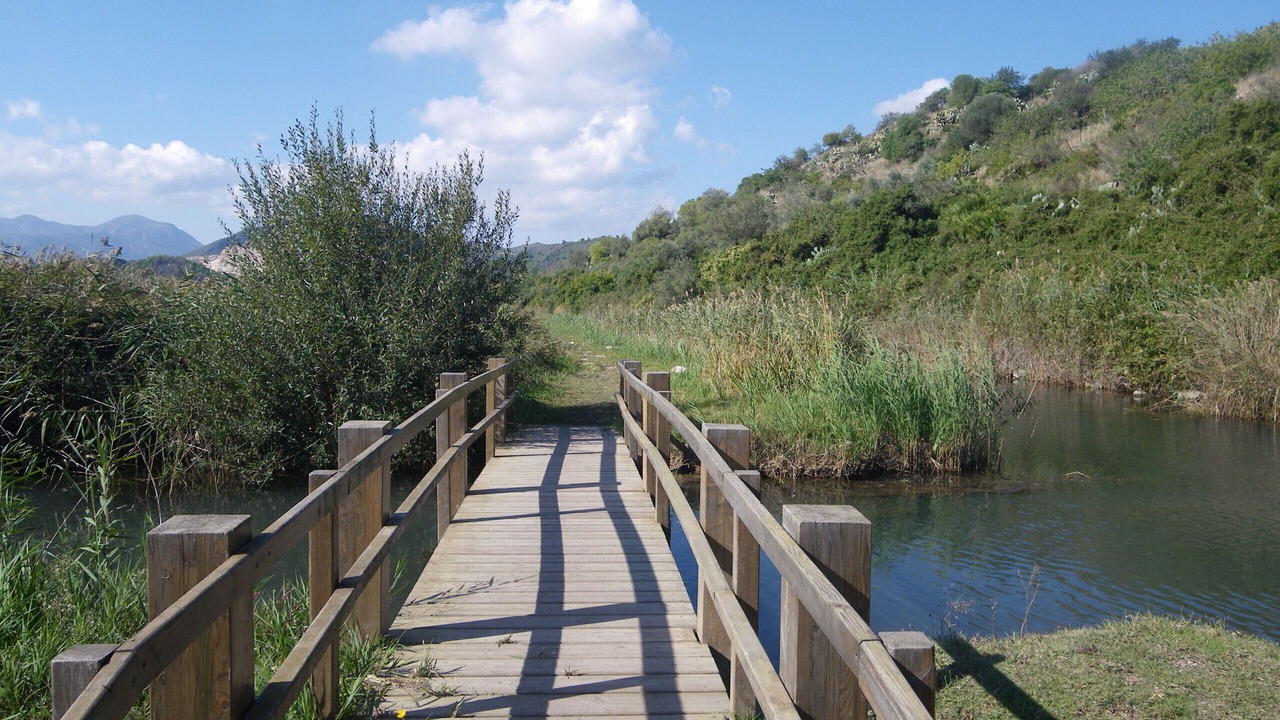 Photo of Others in Oliva