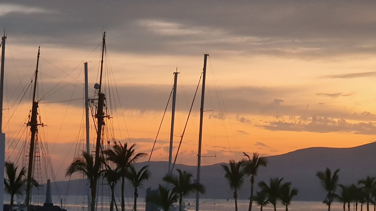Photo of Others in Puerto Calero