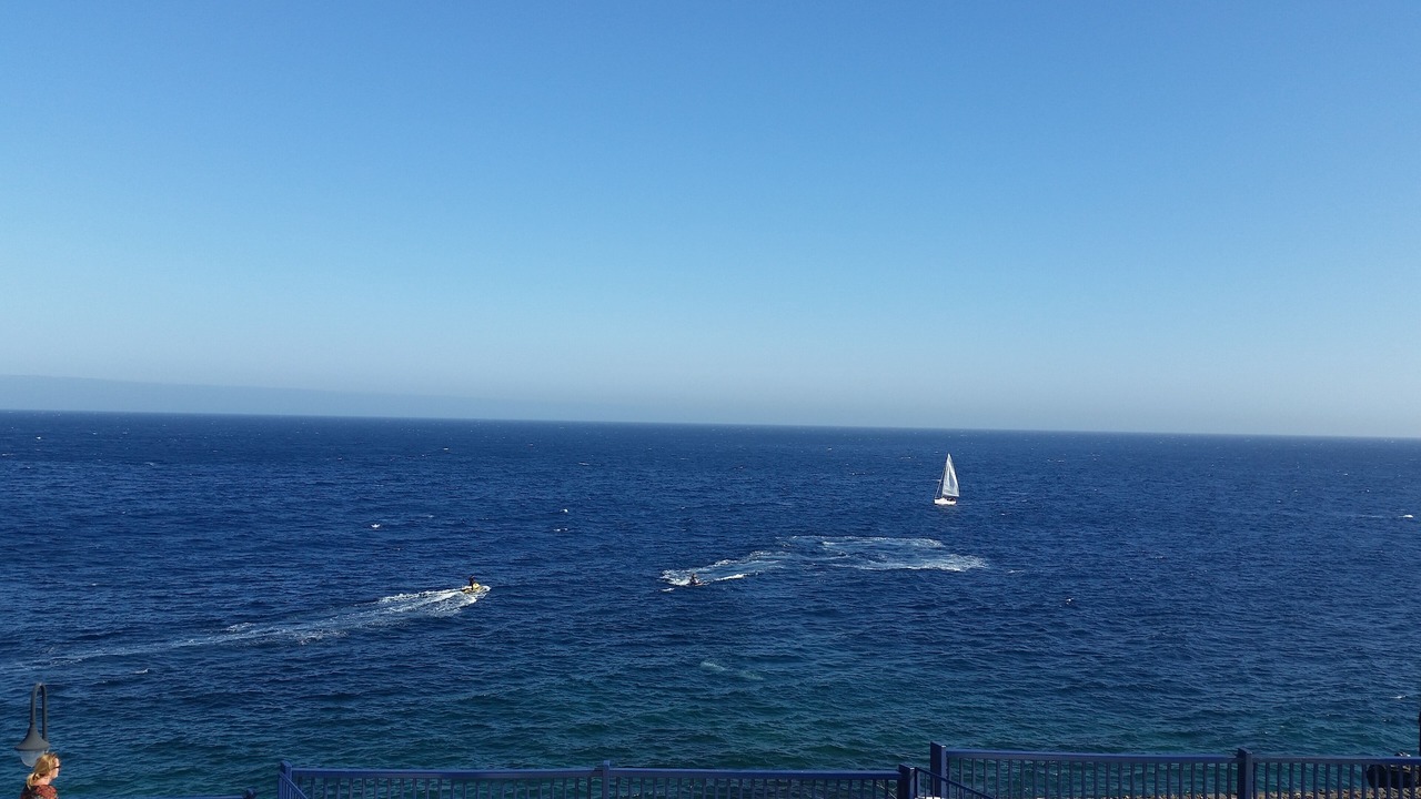 Photo of Others in Puerto Calero