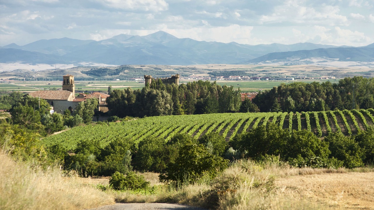 Photo of Outdoor in Sajazarra
