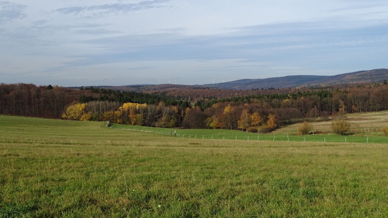 Photo of Others in Glashuetten
