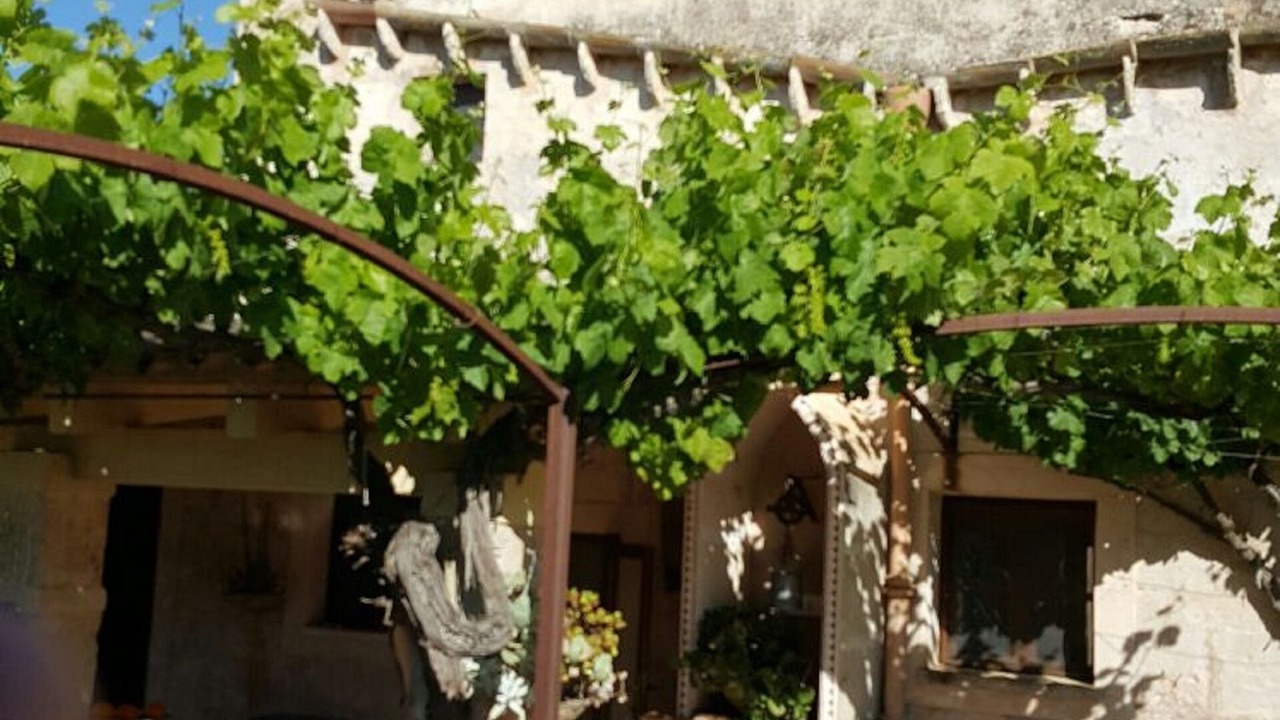 Photo of Outdoor in Campos