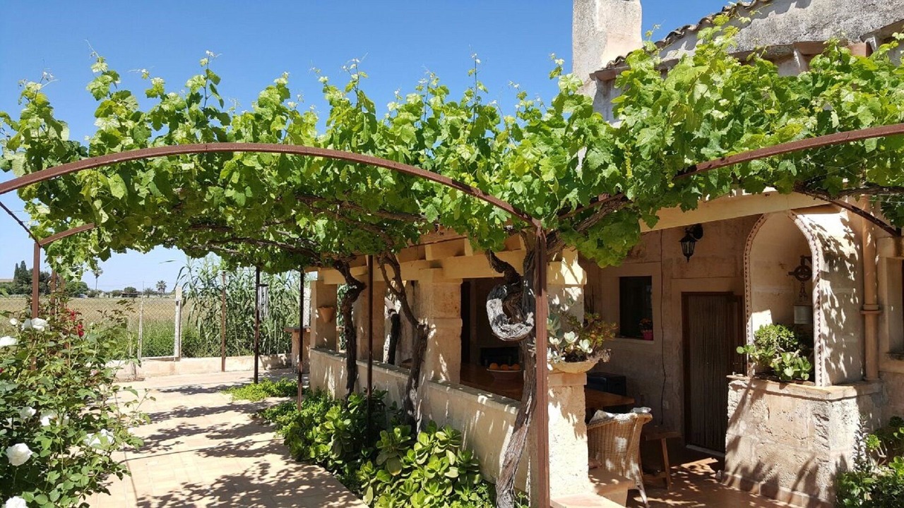 Photo of Patio Balcony in Campos
