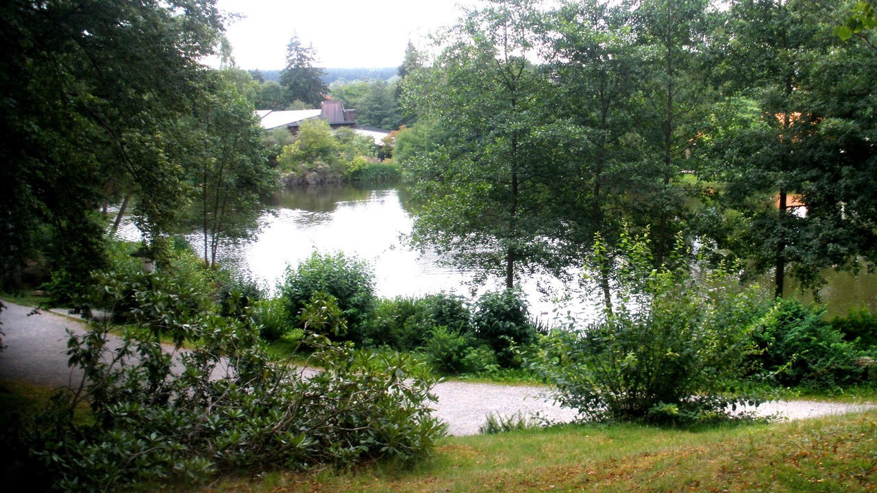 Photo of Outdoor in Braunlage