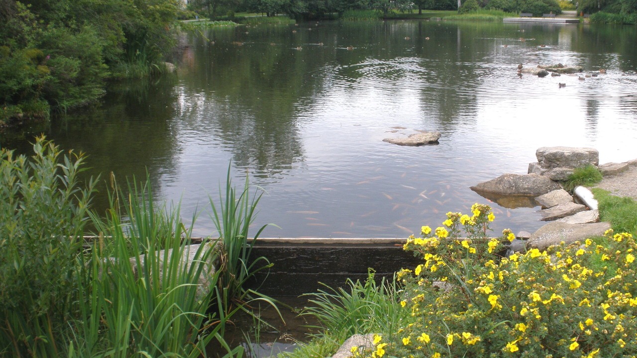 Photo of Outdoor in Braunlage