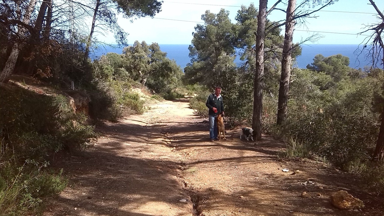 Photo of Outdoor in Canyelles