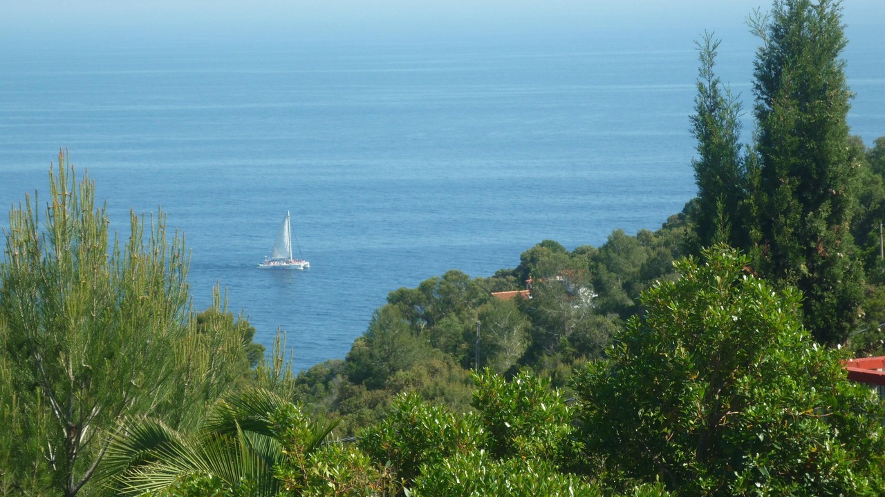 Photo of Others in Canyelles
