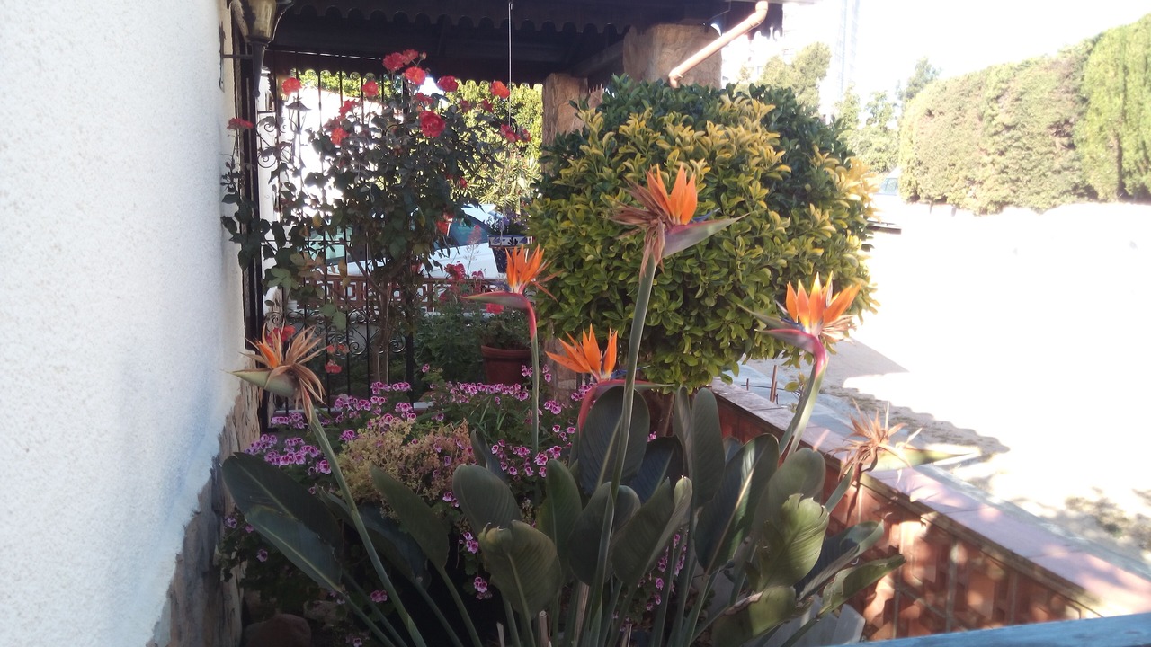 Photo of Outdoor in Canyelles