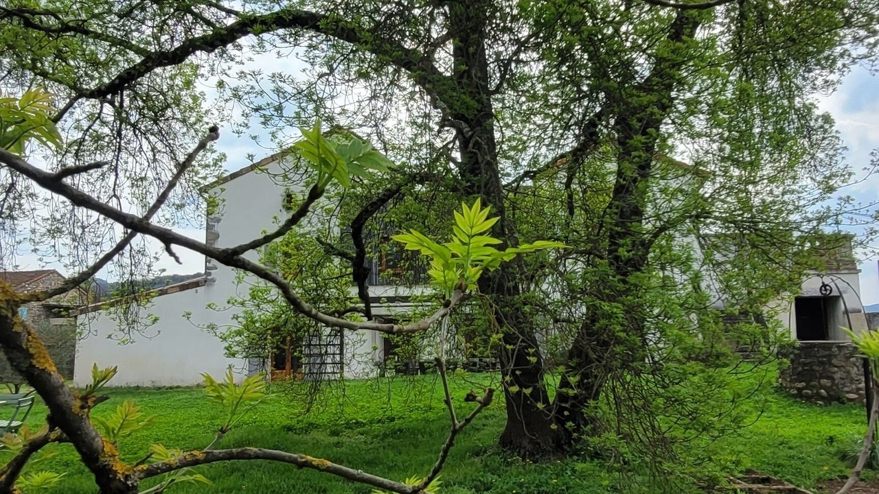 Photo of Outdoor in Sampzon