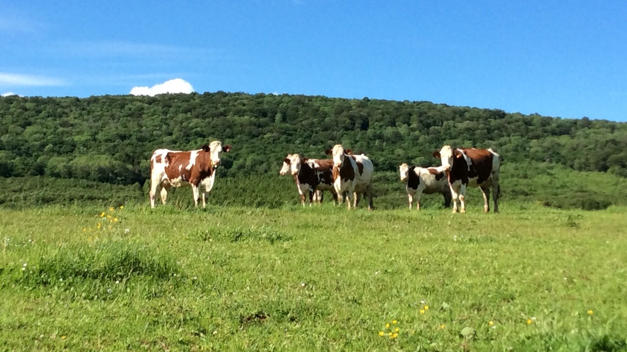 Photo of Outdoor in Courtetain-et-Salans