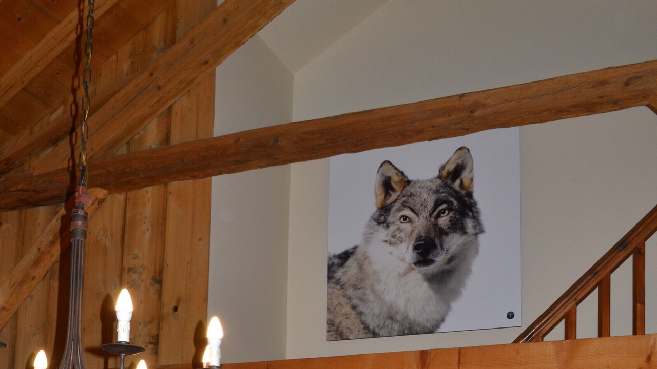 Photo of Others in Vallorcine
