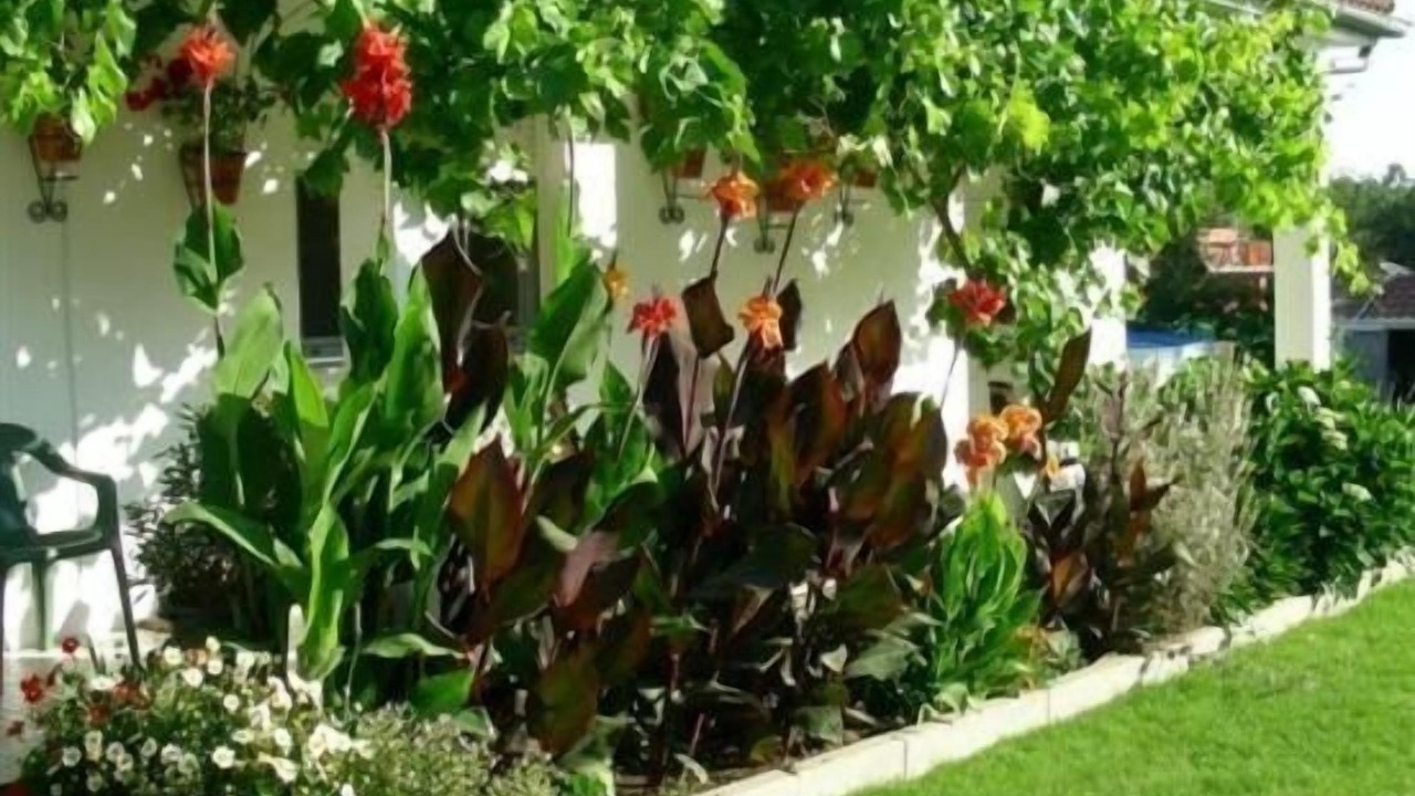 Photo of Outdoor in La Calzada de Bejar