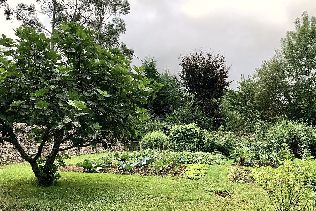Photo of Outdoor in Valle de Cabuerniga
