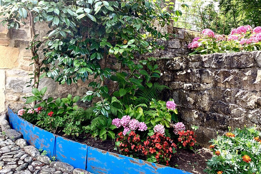 Photo of Outdoor in Valle de Cabuerniga