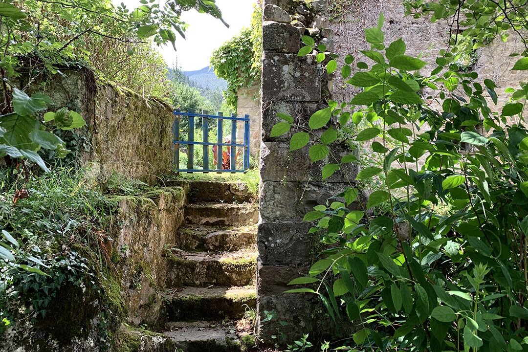 Photo of Outdoor in Valle de Cabuerniga