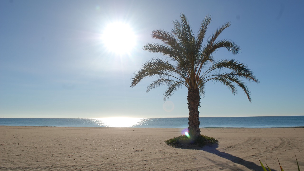 Photo of Others in Segur de Calafell