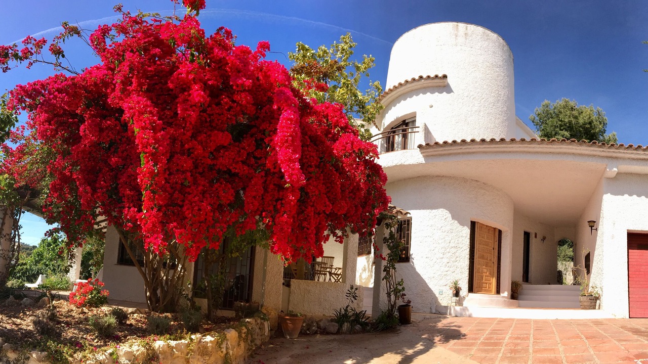 Photo of Outdoor in Segur de Calafell