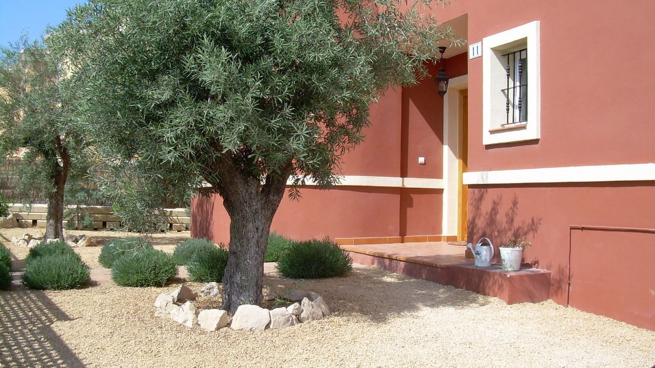 Photo of Others in Hoya de los Patos