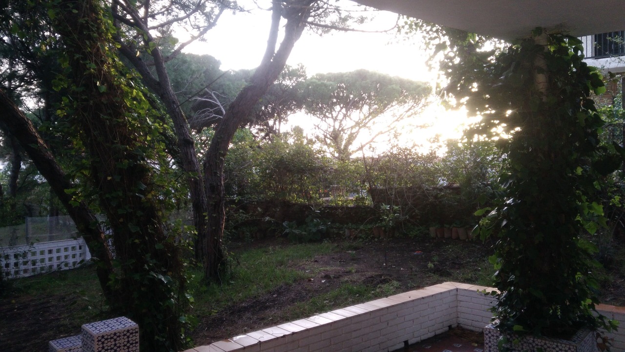 Photo of Outdoor in Punta Umbria