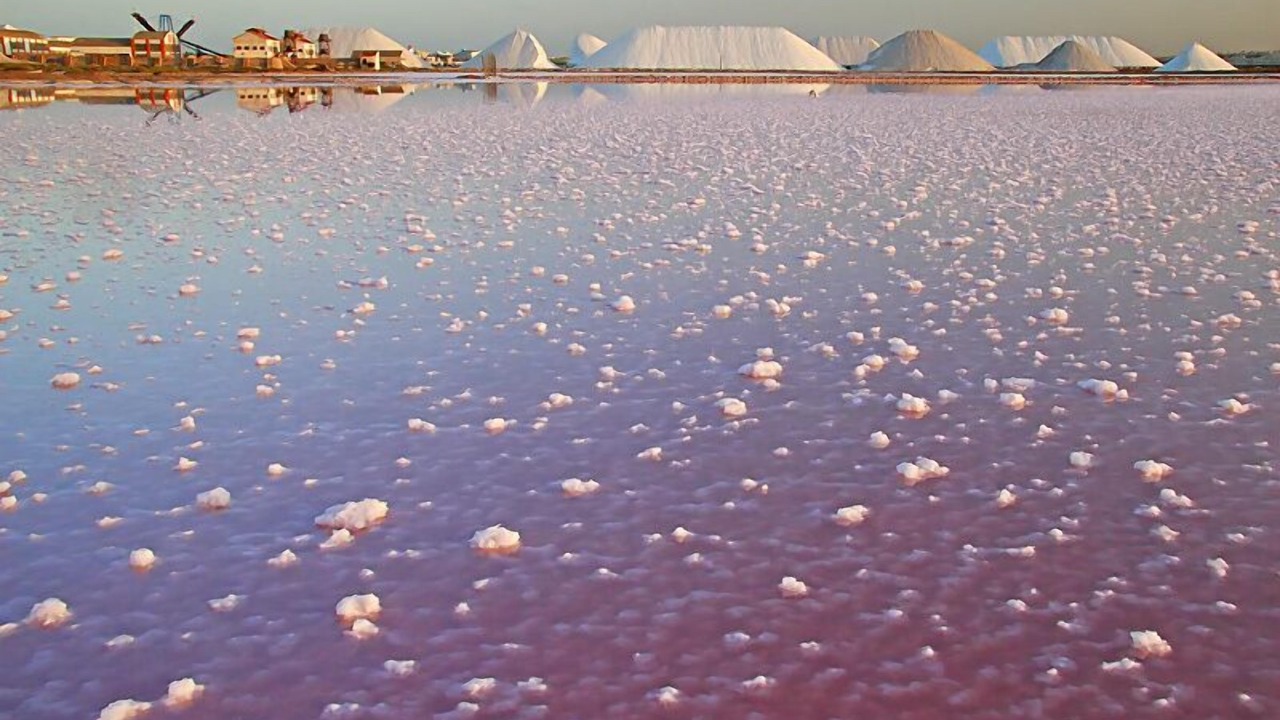 Photo of Outdoor in Torrevieja