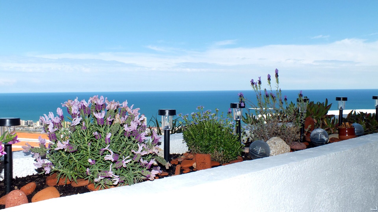Photo of Outdoor in Peniscola