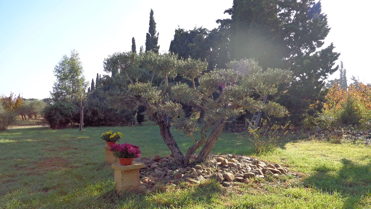 Photo of Outdoor in Saint-Martin-de-Crau