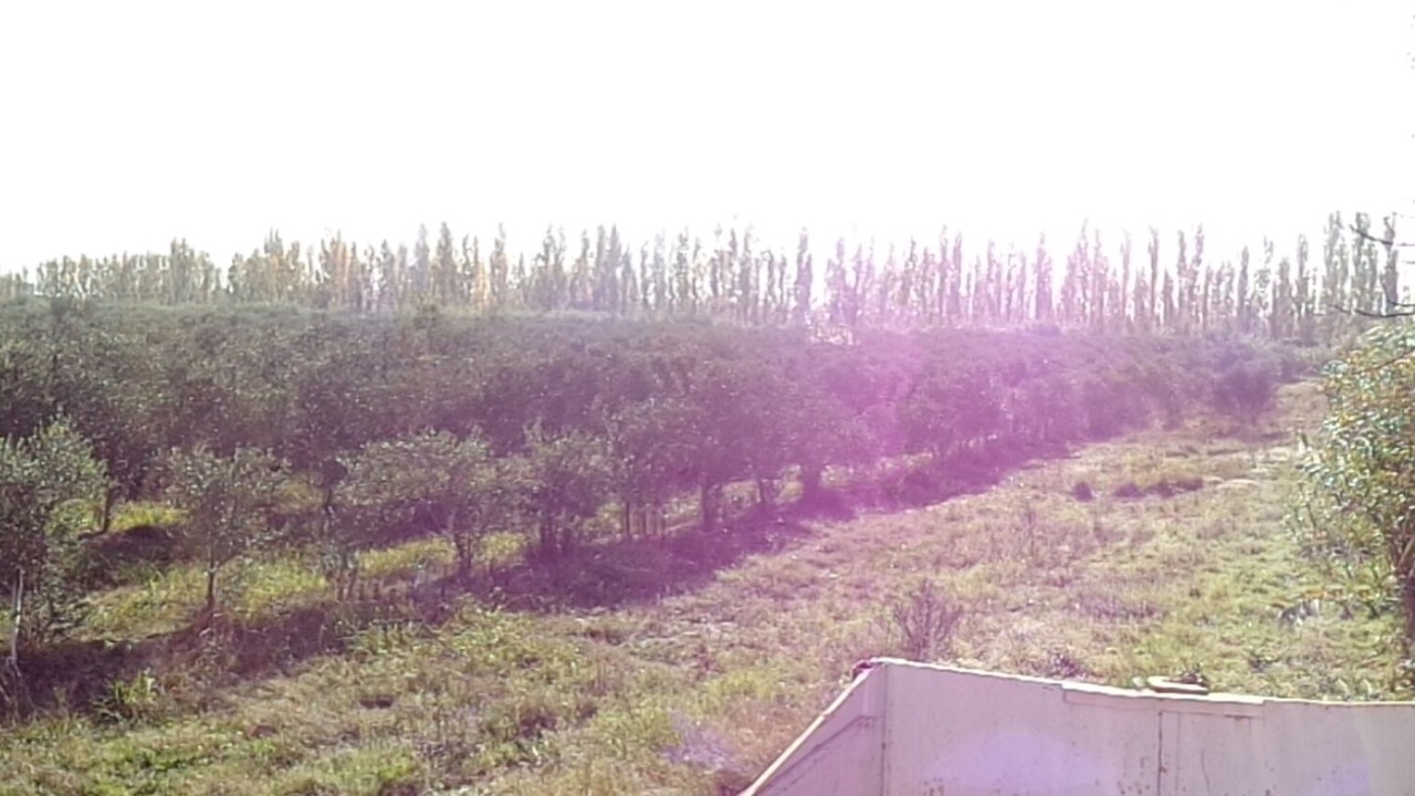 Photo of Outdoor in Saint-Martin-de-Crau