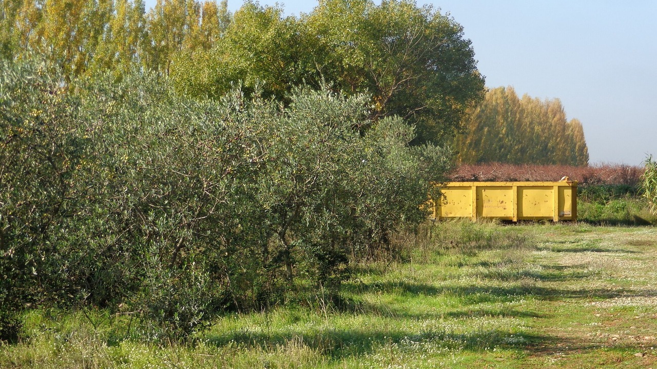 Photo of Outdoor in Saint-Martin-de-Crau