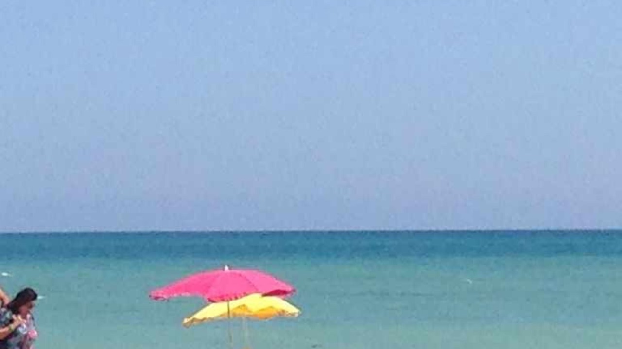 Photo of Others in Cambrils