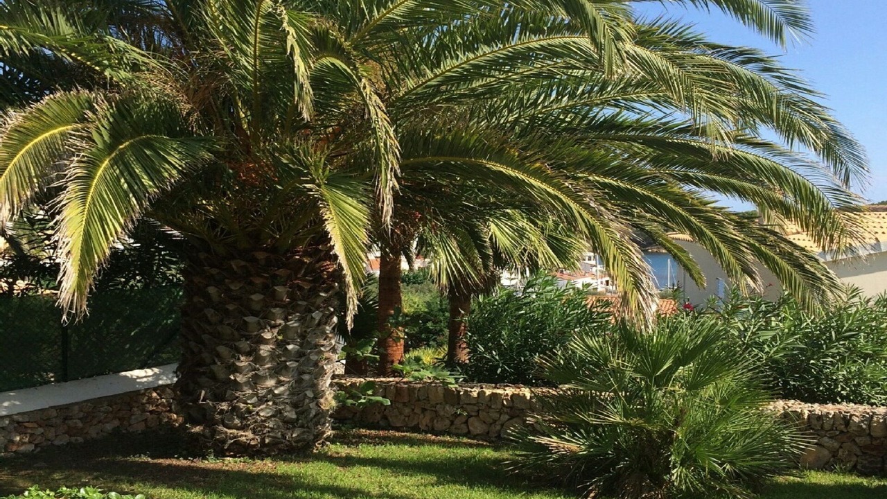 Photo of Outdoor in Port d'Addaia