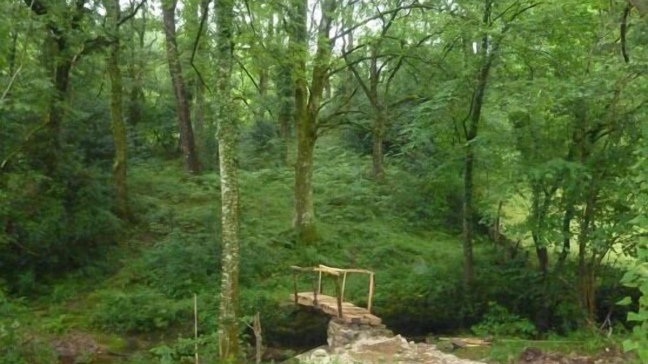 Photo of Outdoor in Azpilkueta