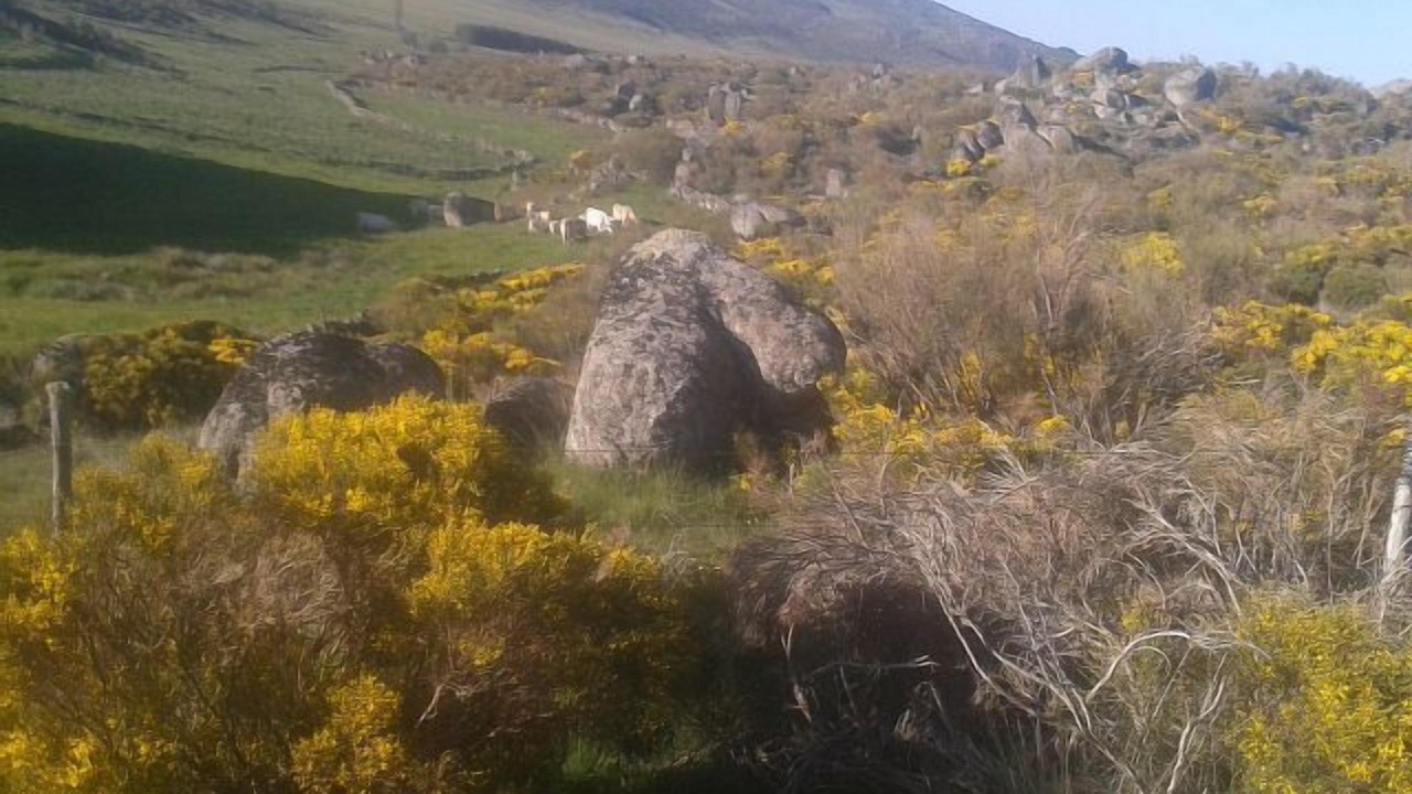 Photo of Outdoor in Navadijos