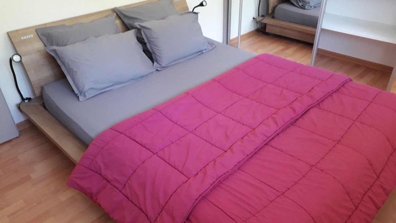 Photo of Bedroom in Sciez
