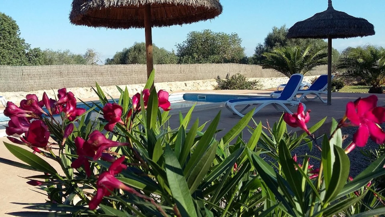Photo of Outdoor in Ses Salines