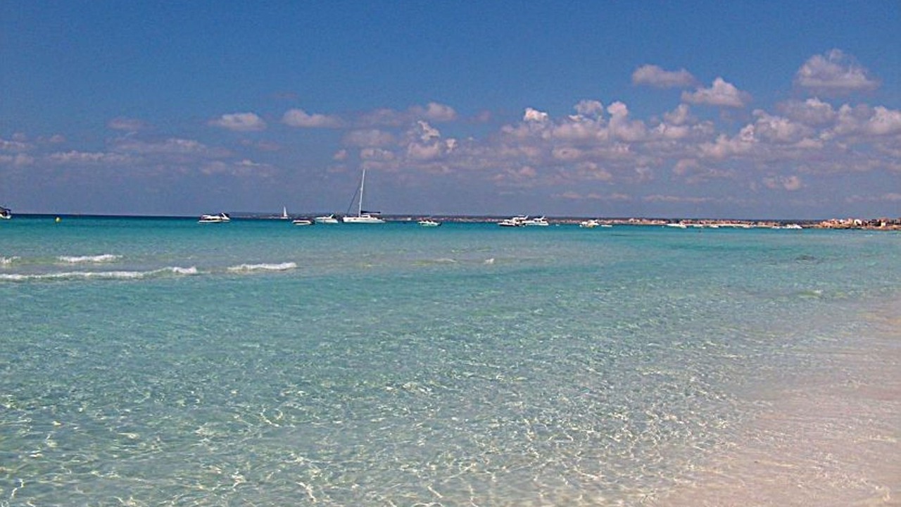 Photo of Others in Ses Salines