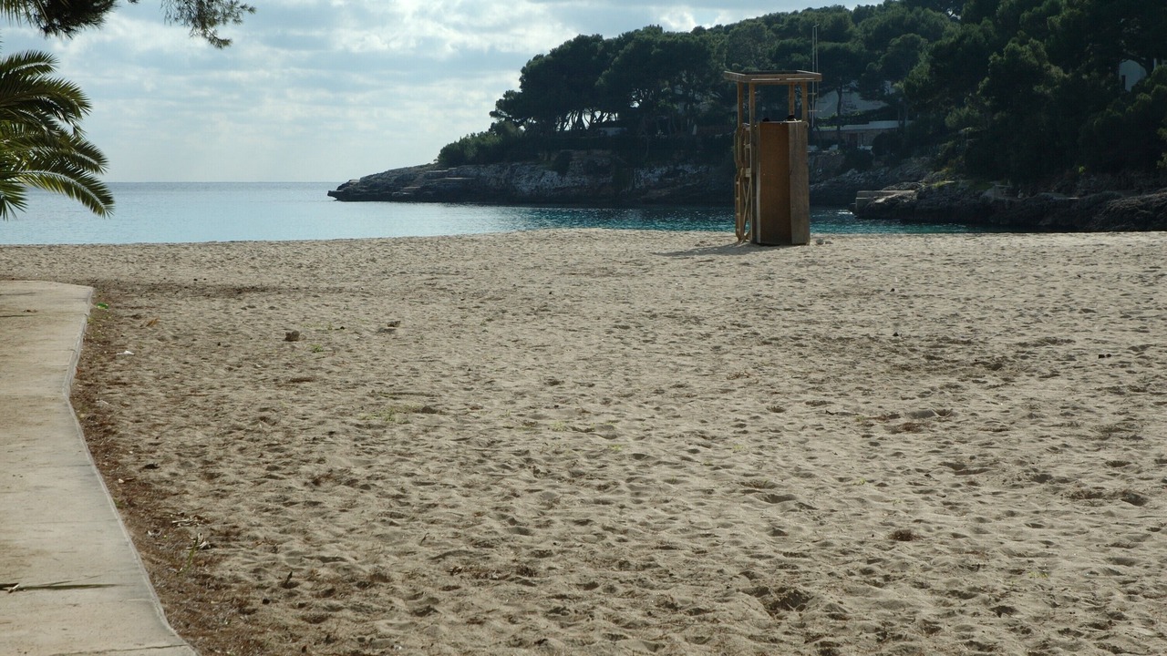 Photo of Others in Cala d'Or
