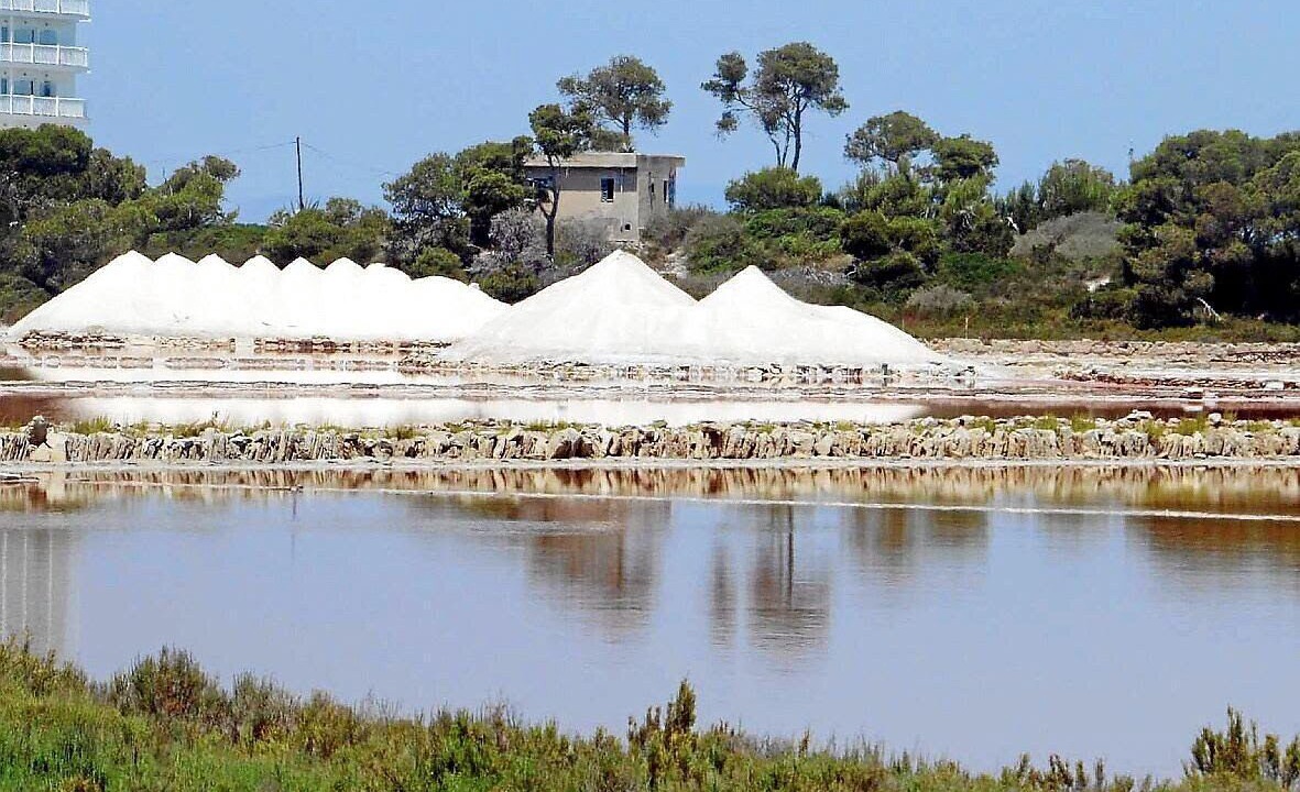 Photo of Outdoor in Ses Salines