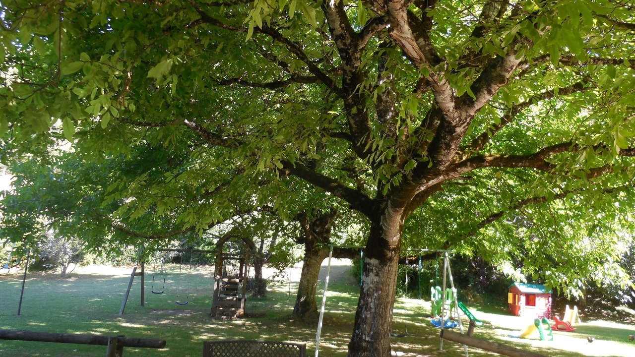 Photo of Others in Valojoulx