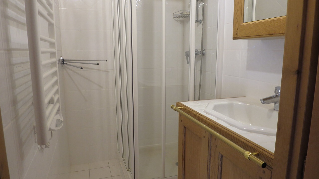 Photo of Bathroom in Bisanne 1500
