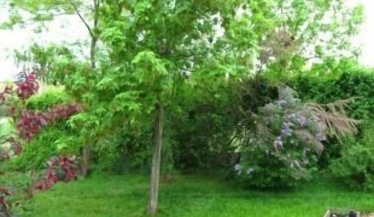 Photo of Outdoor in Espirdo