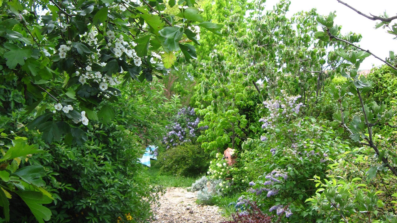 Photo of Outdoor in Espirdo