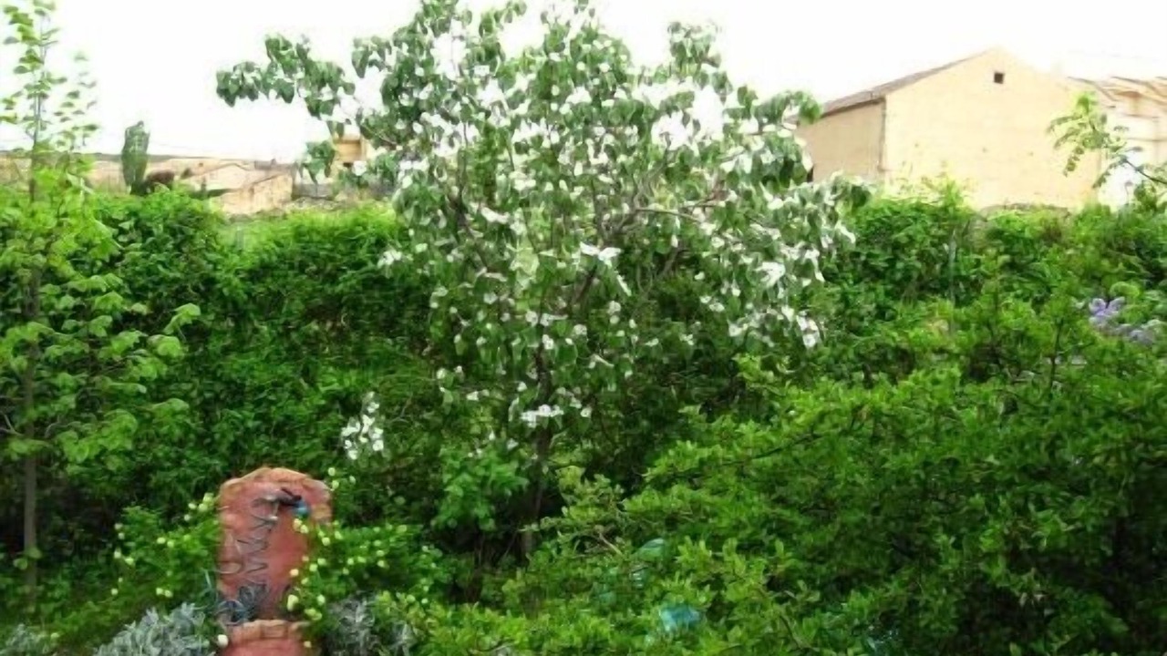 Photo of Outdoor in Espirdo
